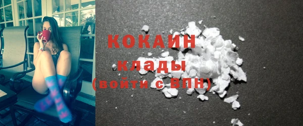 дживик Алзамай