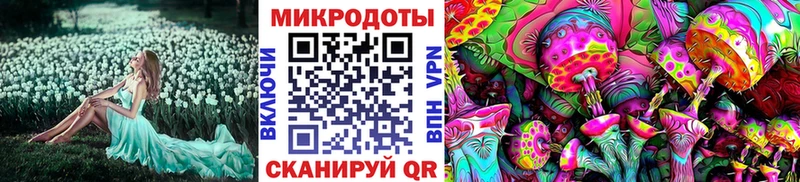Псилоцибиновые грибы Psilocybe  Муравленко 