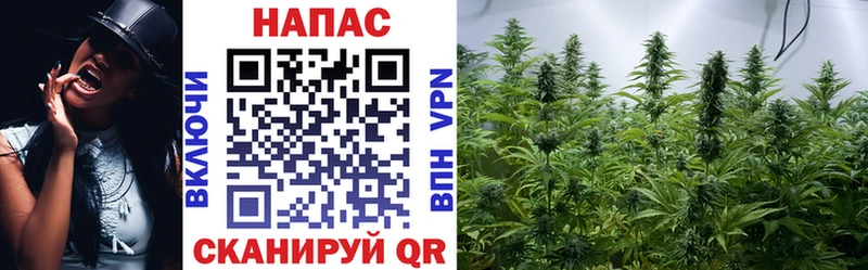 Бошки Шишки OG Kush  Муравленко 